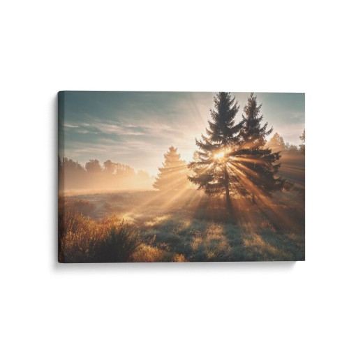Obraz na płótnie canvas Wschód między sosnami realistyczny