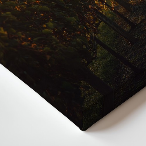 Obraz na płótnie canvas Winnica o zachodzie realistyczny