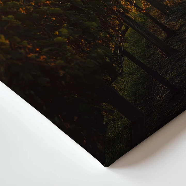 Obraz na płótnie canvas Winnica o zachodzie realistyczny