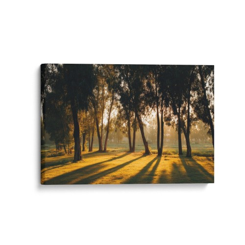 Obraz na płótnie canvas Leśna polana realistyczny