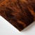 Obraz na płótnie canvas Złote kłosy realistyczny