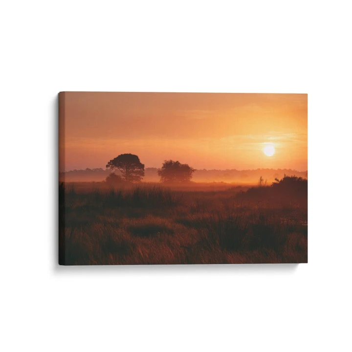 Obraz na płótnie canvas Zachód nad łąką realistyczny