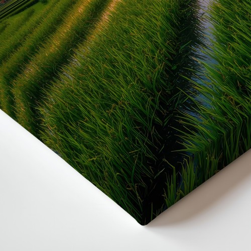 Obraz na płótnie canvas Tarasy ryżowe realistyczny