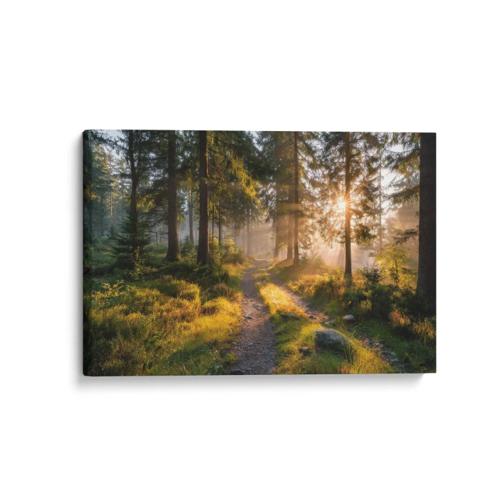 Obraz na płótnie canvas Ścieżka leśna realistyczny