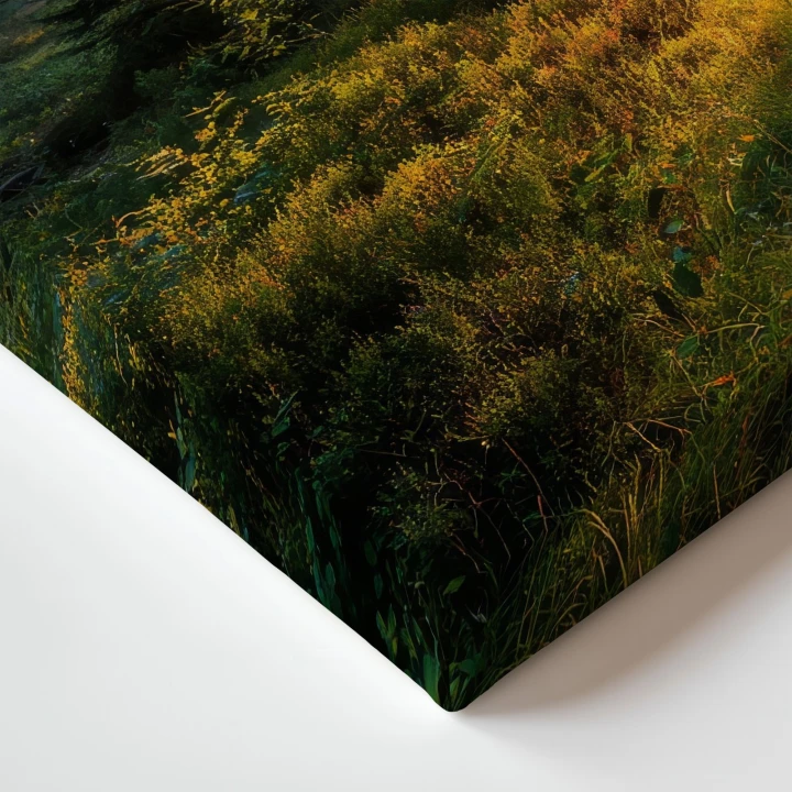 Obraz na płótnie canvas Ścieżka leśna realistyczny