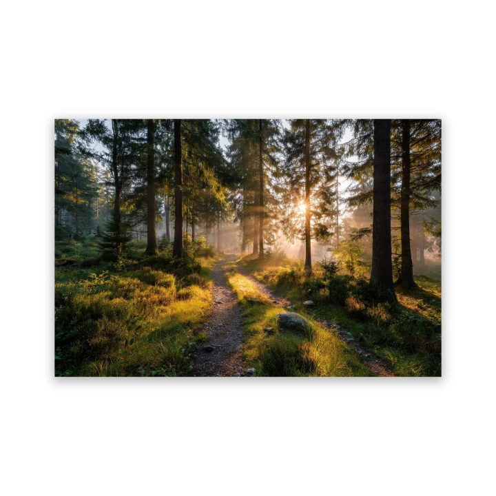 Obraz na płótnie canvas Ścieżka leśna realistyczny