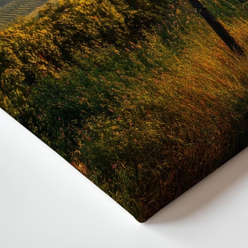 Obraz na płótnie canvas Winnica o poranku realistyczny
