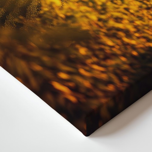 Obraz na płótnie canvas Winnica o zachodzie realistyczny