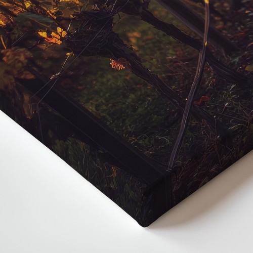 Obraz na płótnie canvas Winnica o zachodzie realistyczny