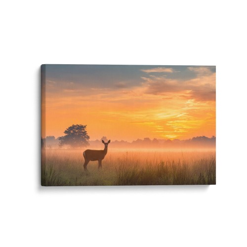 Obraz na płótnie canvas Sarna o świcie realistyczny